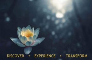 Photo of lotus flower with the words discover, experience and transform